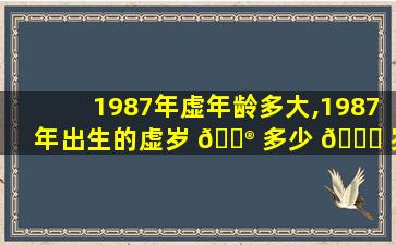 1987年虚年龄多大,1987年出生的虚岁 💮 多少 🐈 岁